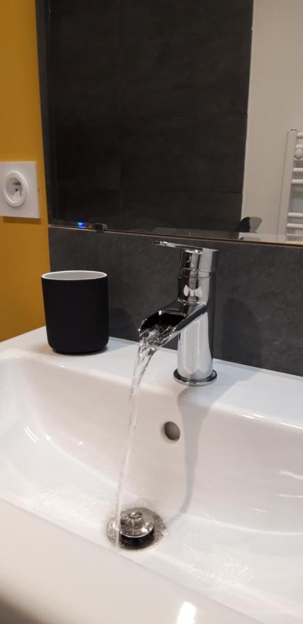 אורליאן Appart' Chatelet Hypercentre Netflix Inclus מראה חיצוני תמונה