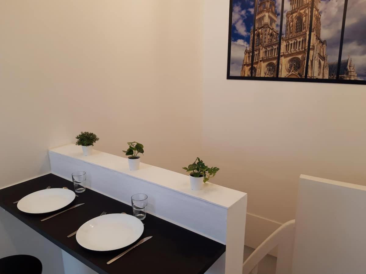 אורליאן Appart' Chatelet Hypercentre Netflix Inclus מראה חיצוני תמונה
